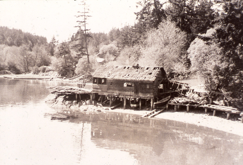 The ruined dock and cookhouse at Hunter Bay